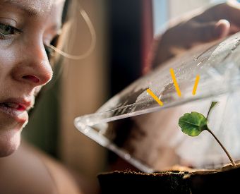 Groupe Mutuel publishes its first ever Sustainability Report