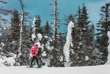 A snowshoe hike is good for the mind and the body