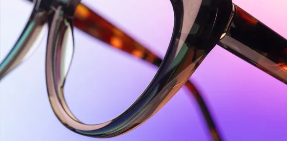 Berdoz Vision & Audition