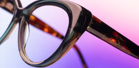 Berdoz Vision & Audition