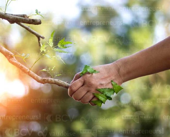 Lancement de l’Ecosystème FVE