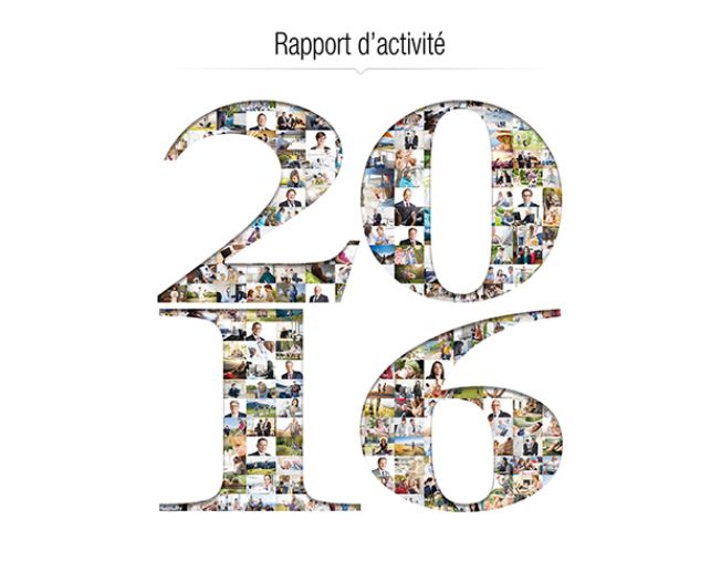 Résultats 2016 réjouissants pour le Groupe Mutuel