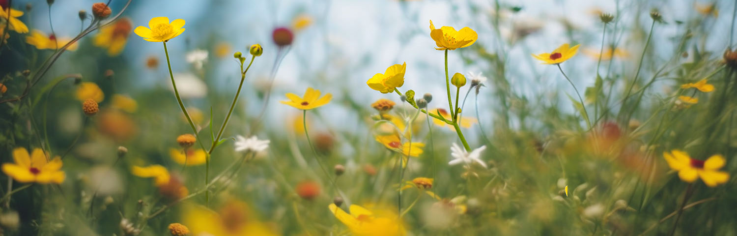 Quali cambiamenti vorresti vedere nel mondo del lavoro?